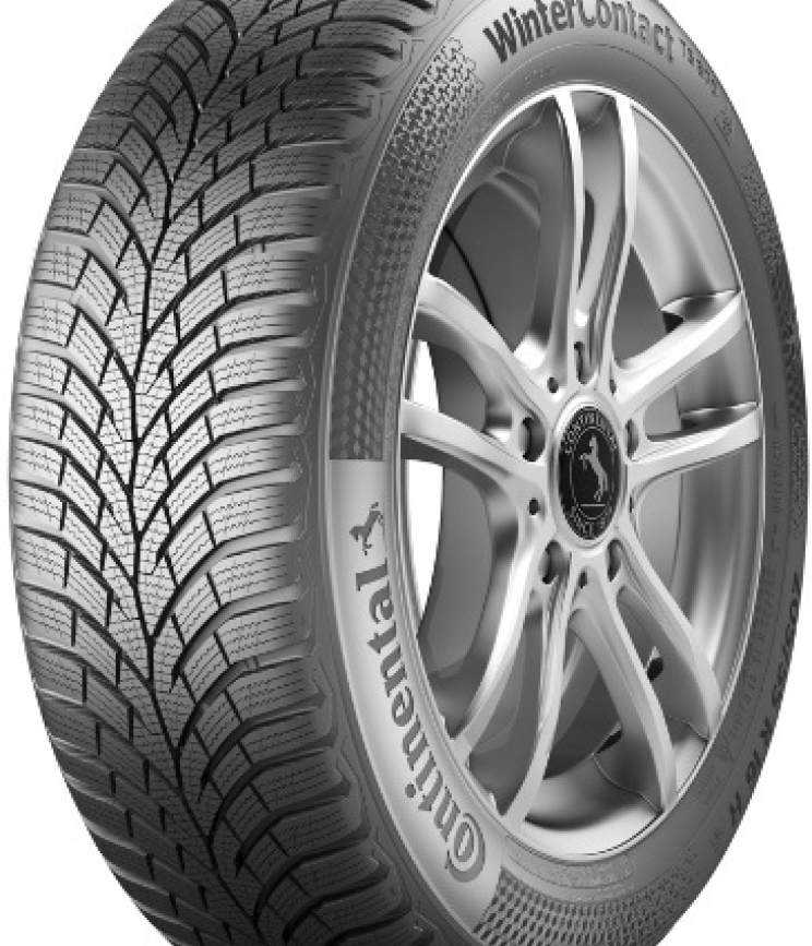 FORTUNA Ecoplus 2 Van 4 Season M+S (Rim Fringe Protection) 225/55 R17C H109/107